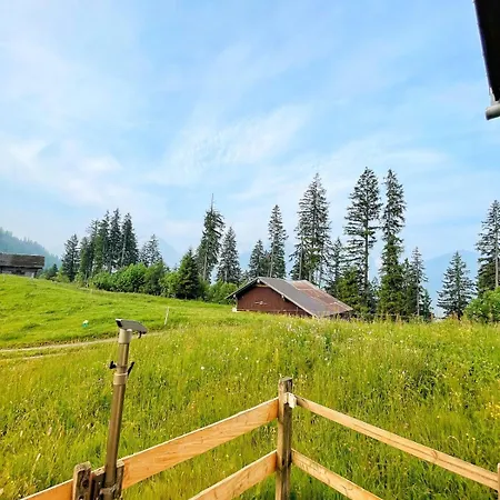 Peter's Huette In Bidmi * Hasliberg