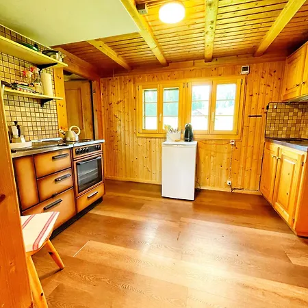 Διαμέρισμα Peter's Huette In Bidmi Hasliberg