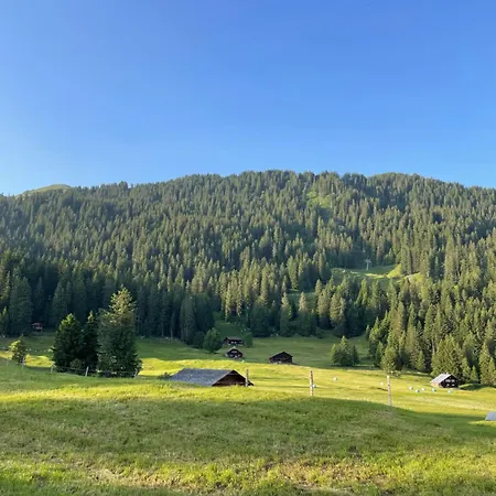 Peter's Hütte In Bidmi