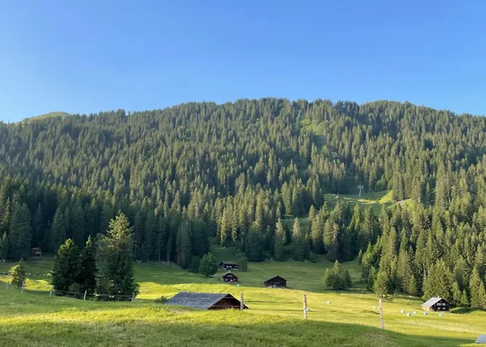 Peter's Huette In Bidmi